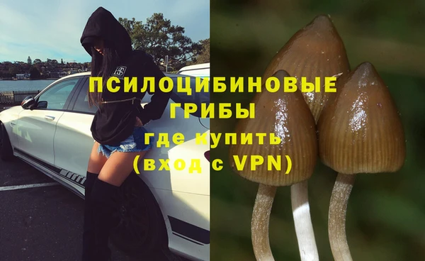 хмурый Богородск
