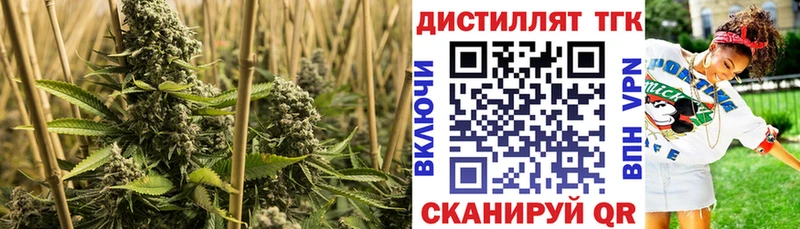 Купить закладки  Красный Холм  ТГК Wax 