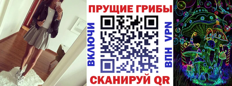 Галлюциногенные грибы Cubensis  Купить закладки  Красный Холм 